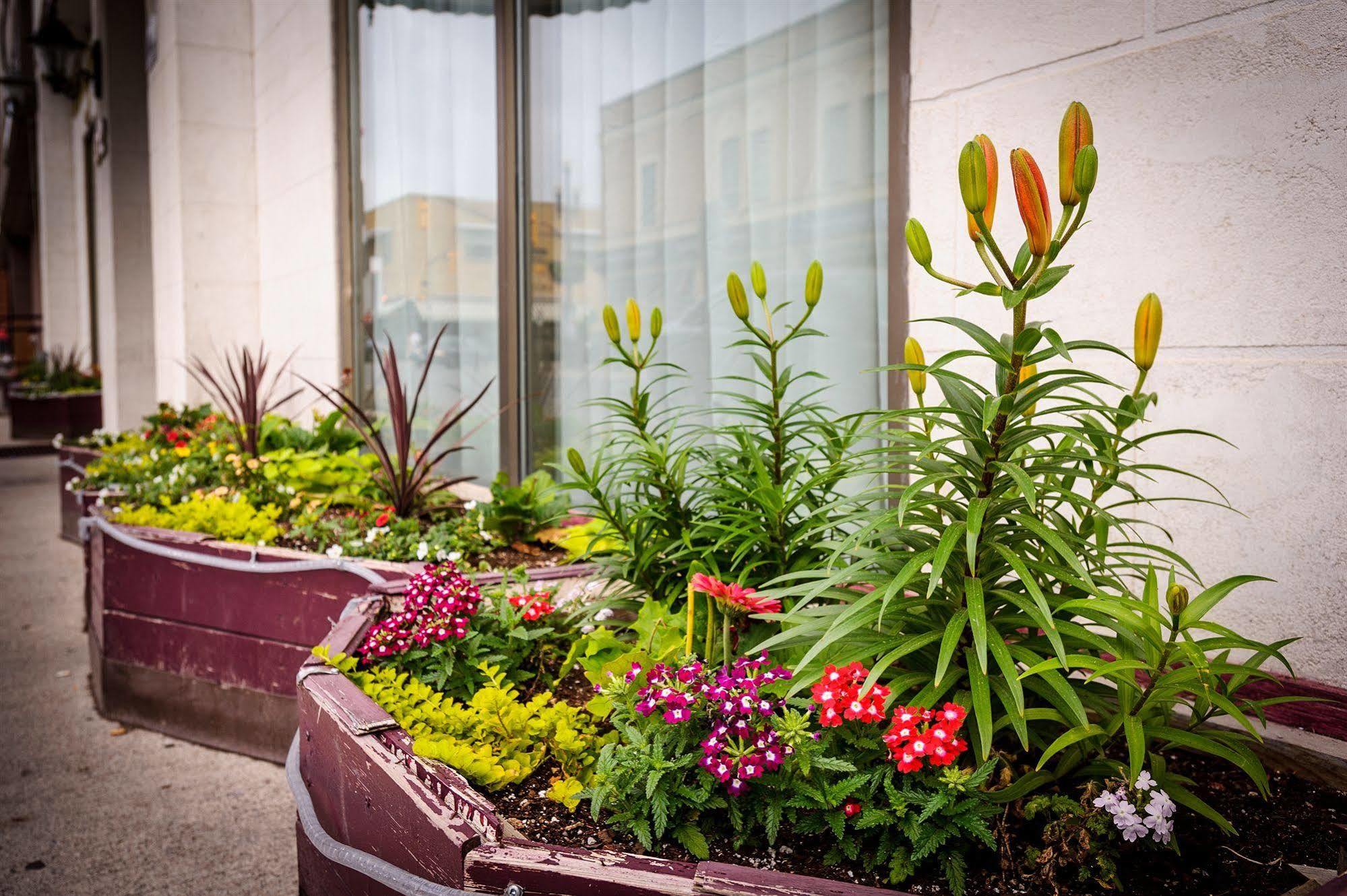 Peterborough Inn & Suites Hotel Экстерьер фото